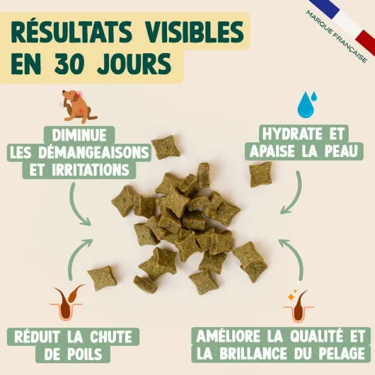 61TrwVvlxOL._AC_SL1080_