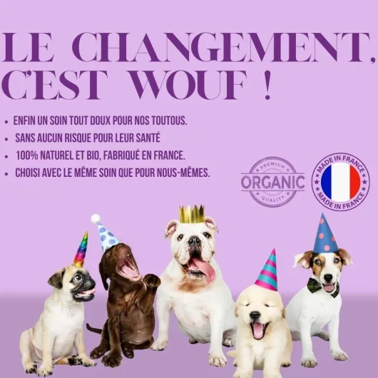 61D94Dvce0L._AC_SL1000_