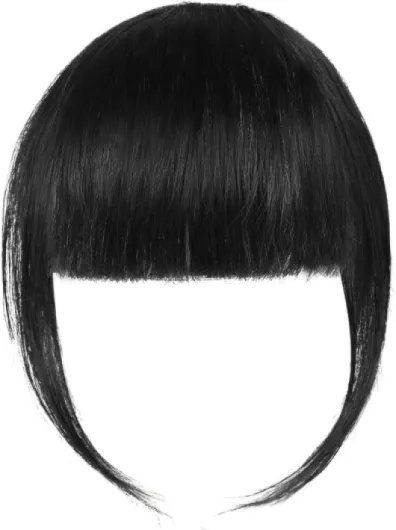 LOPHE Frange à Clip, Pince à frange française tressée De Vrais Cheveux Humains,Bangs Neat Une Extension de Cheveux à Clipser Air Bangs avec Temples,pour Femme à Porter au Quotidien,Noir 13 cm x 22 cm Noir
