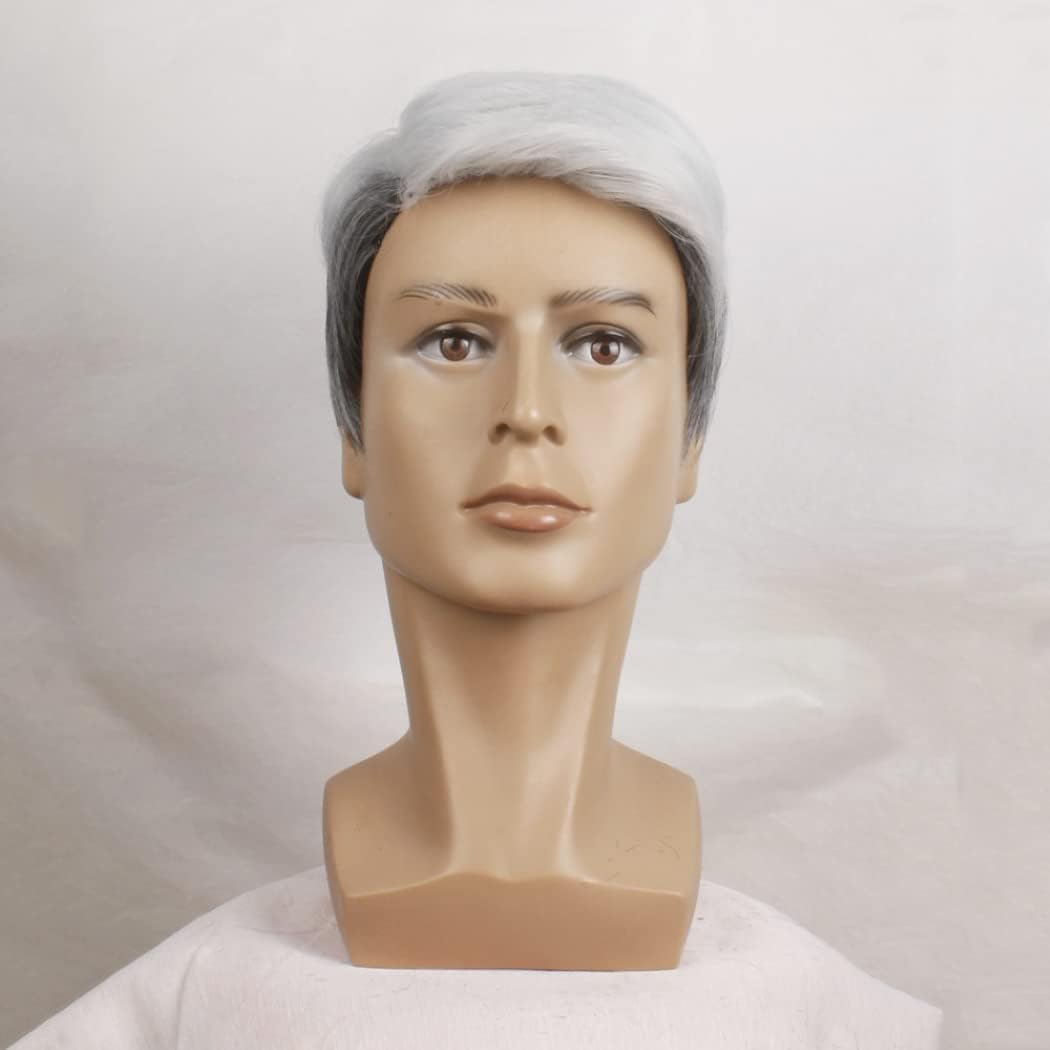 Perruque Courte Ombré pour Hommes Toupet Partie Latérale Naturelle Postiche Seniors Cheveux Mixte Blanc et Gris (Gris Blanc)