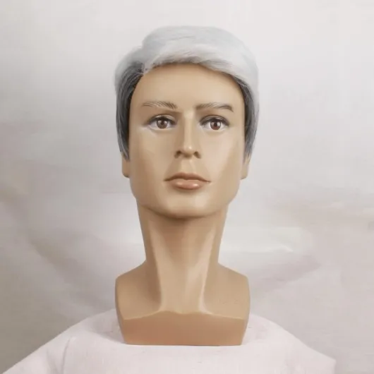 Perruque Courte Ombré pour Hommes Toupet Partie Latérale Naturelle Postiche Seniors Cheveux Mixte Blanc et Gris (Gris Blanc)