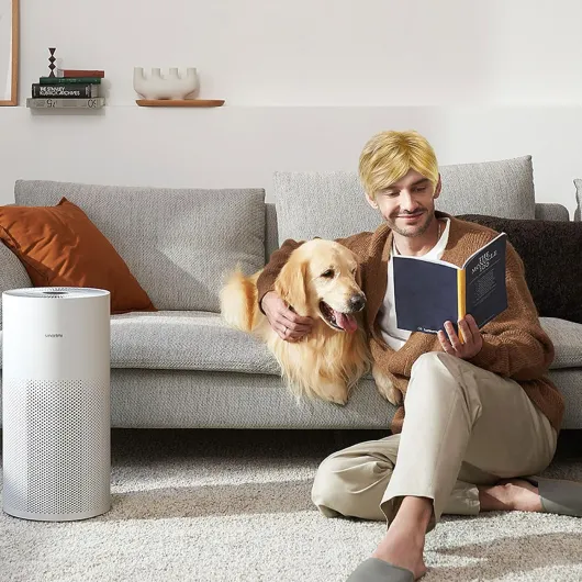 81ehw RukqL._AC_SL1500_