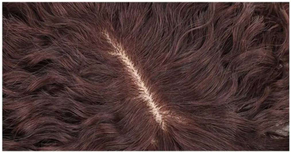 61ME3txvCNL._AC_SL1000_