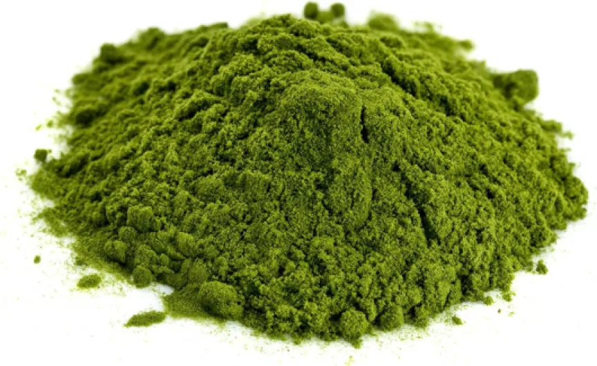 815asSH6zzL._AC_SL1500_