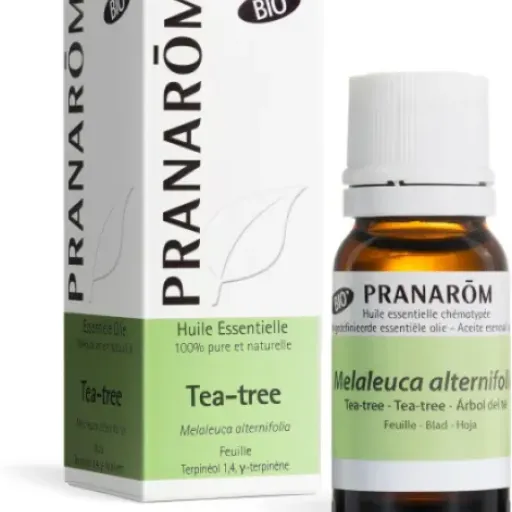 Test PRANARÔM Tea Tree Bio 10 ml : l’huile essentielle basique qui fait le job sans chichi