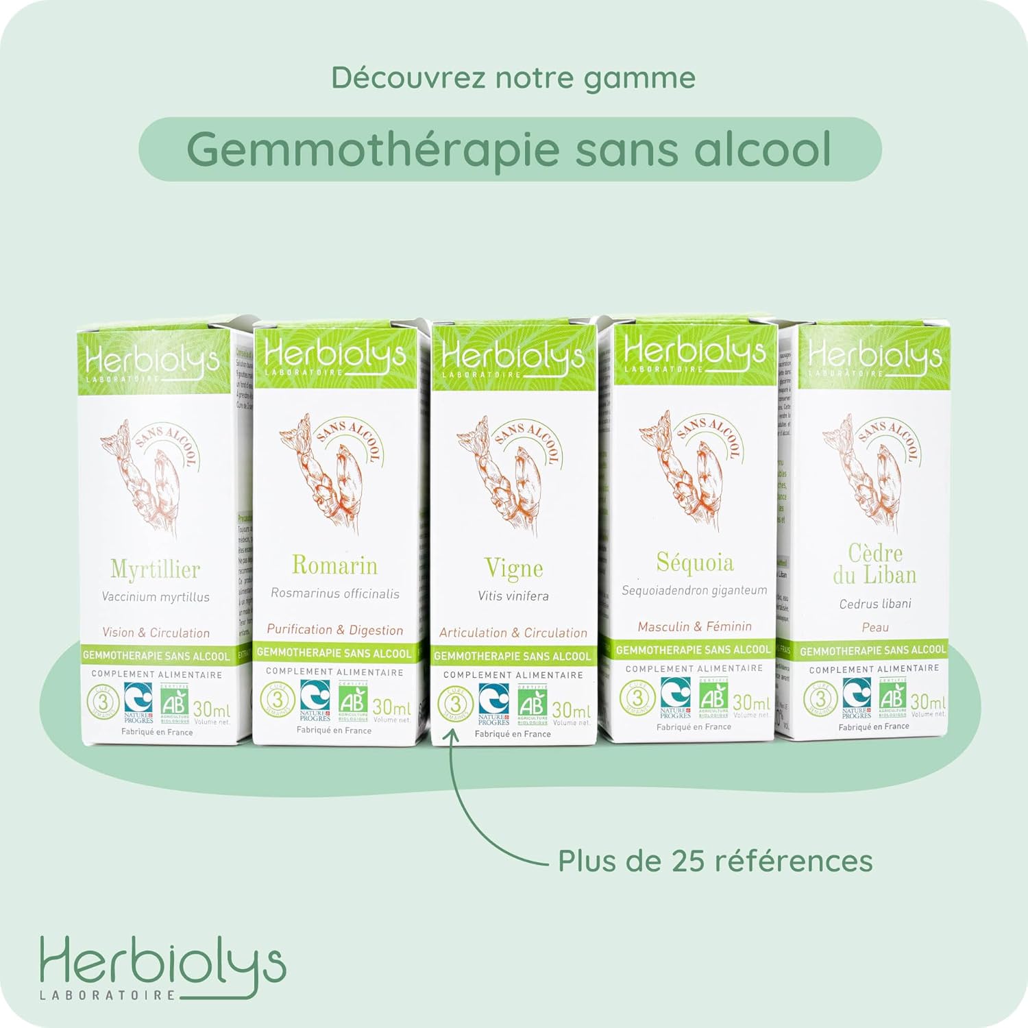 Macérât De Bourgeon Bio - Sans Alcool - Gemmothérapie - Flacon de 30 ml - Herbiolys (Figuier) Figuier 30 ml (Lot de 1)