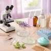Microbiome du cuir chevelu : la révolution invisible des soins capillaires bio