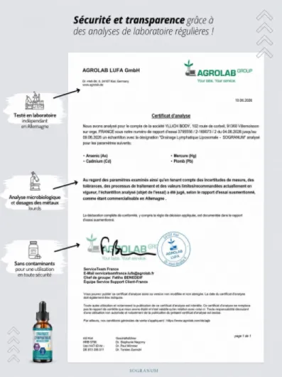Drainage Lymphatique Liposomal - Jambes Lourdes, Circulation sanguine, Rétention d'eau - Complexe 11 Plantes traditionnelles(Pissenlit, Bardane, Échinacée) Élimination des Toxines - 60 ml