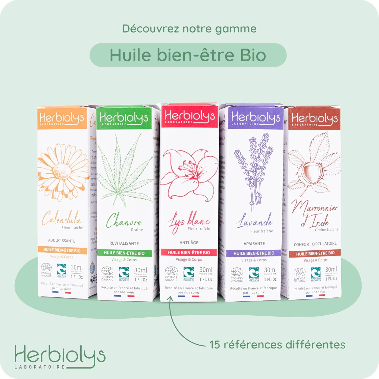Huile végétale Bio - Huile Bien-être - Plantain (Apaisante) - Visage & Corps - 30 ml Plantain 30 ml (Lot de 1)