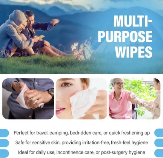 Comfy Life Premium Lingettes Humides pour Adultes - Sans Parfum lingettes de nettoyage du corps - Lingettes de Bain Épaisses et Douces Hypoallergéniques - 1 Paquet 80 Feuilles Sans parfum 80 unité (Lot de 1)